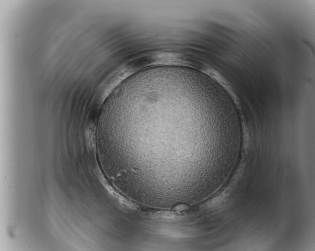 X0000102241049200808011243