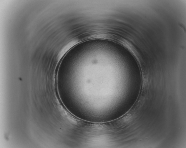 X0000102241050200808011243