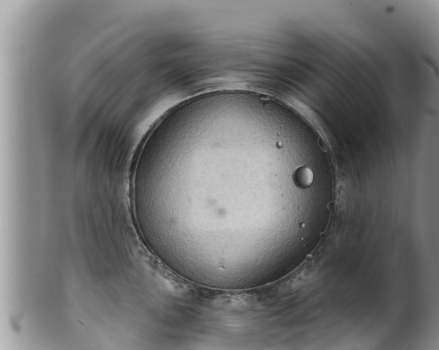 X0000102241051200808011243