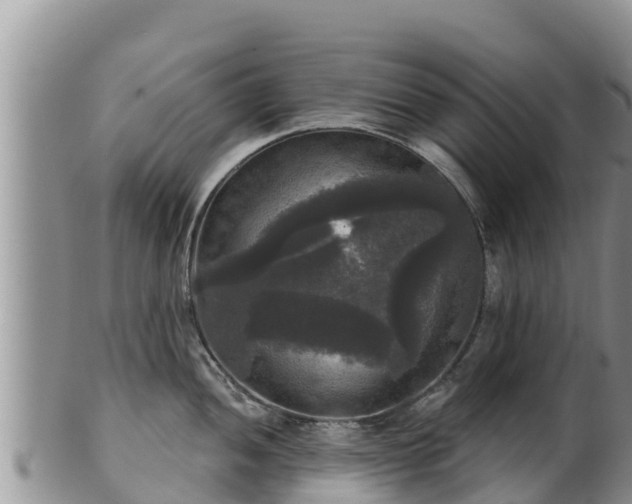 X0000102241052200808011243