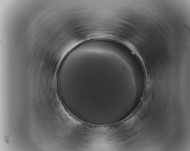 X0000102241053200808011243