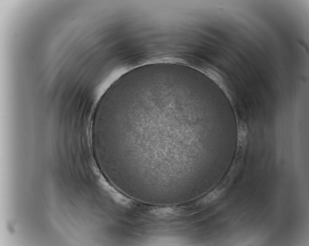 X0000102241054200808011243