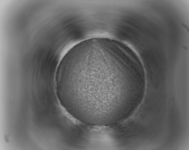 X0000102241056200808011243