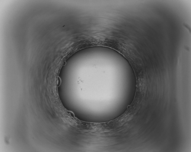 X0000102241057200808011243