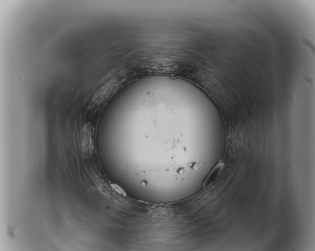 X0000102241058200808011243