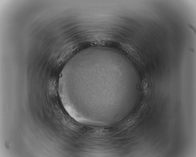 X0000102241060200808011243