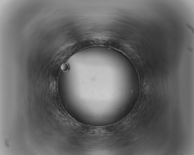 X0000102241061200808011243