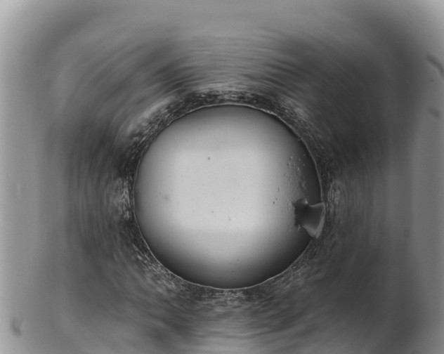 X0000102241062200808011243