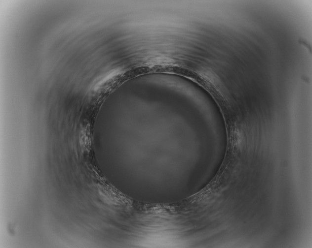 X0000102241063200808011243