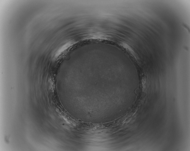 X0000102241064200808011243