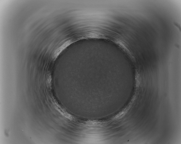 X0000102241065200808011243