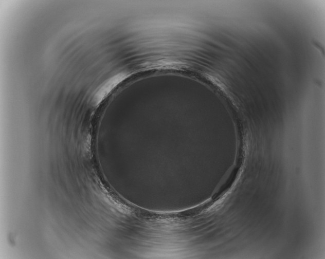 X0000102241066200808011243