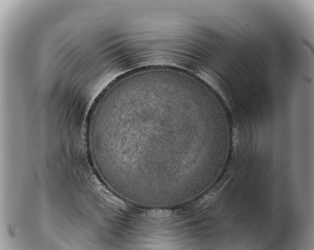 X0000102241068200808011243