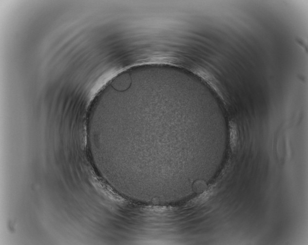 X0000102241069200808011243