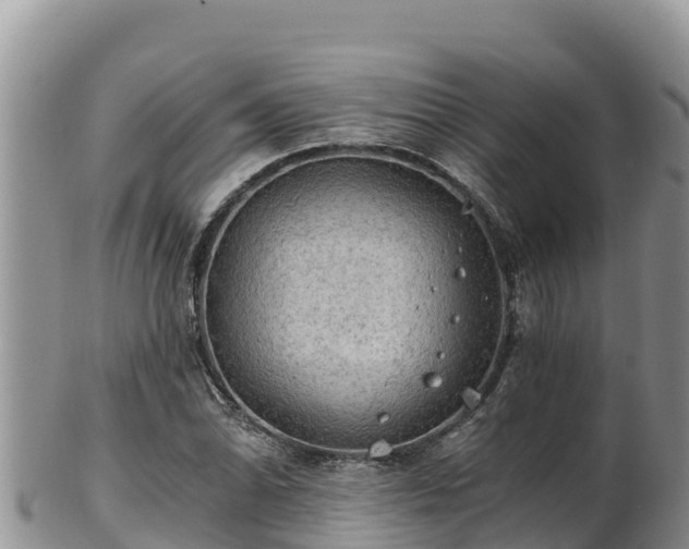 X0000102241070200808011243