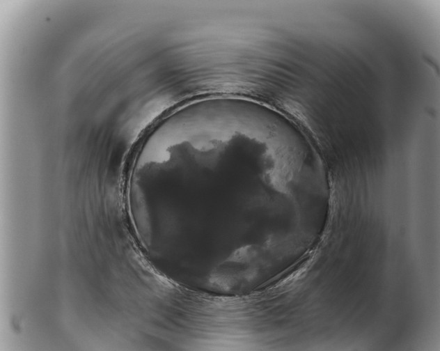 X0000102241071200808011242