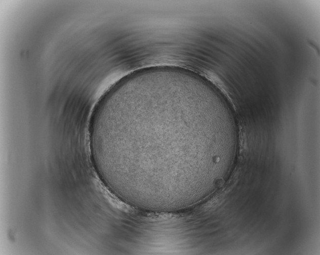 X0000102241072200808011242