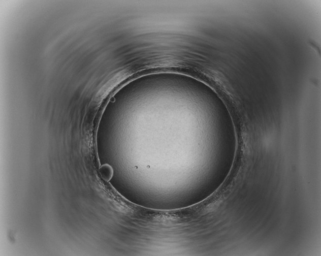 X0000102241073200808011242