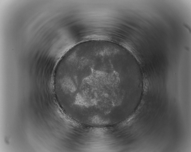 X0000102241074200808011242