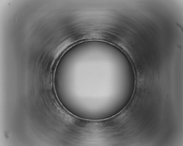 X0000102241075200808011242