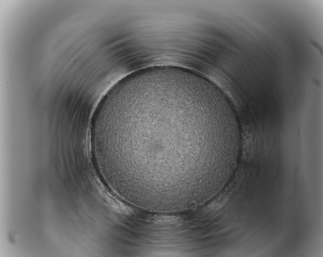 X0000102241076200808011242