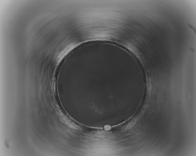 X0000102241077200808011242