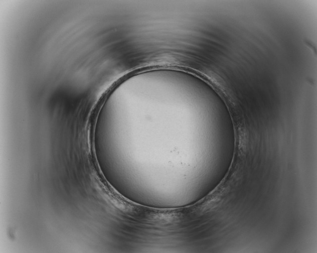 X0000102241078200808011242