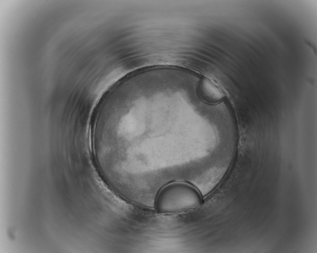 X0000102241080200808011242