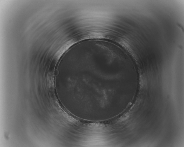 X0000102241081200808011242