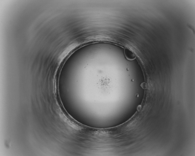 X0000102241082200808011242