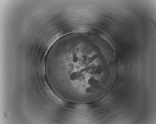 X0000102241083200808011242