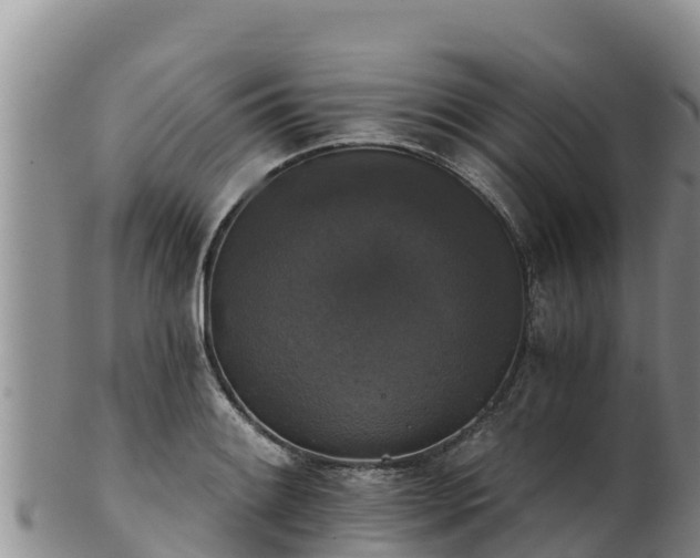 X0000102241084200808011242