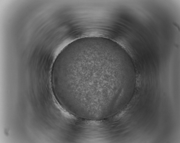 X0000102241086200808011242