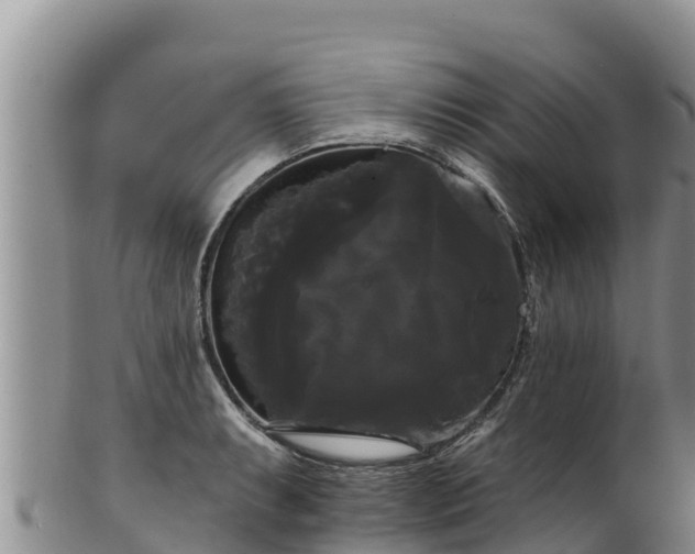 X0000102241087200808011242