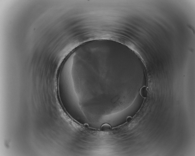 X0000102241088200808011242