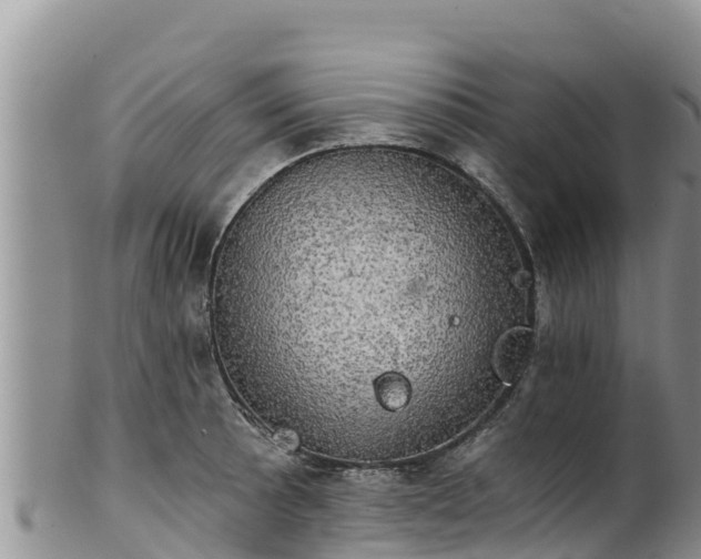 X0000102241089200808011242