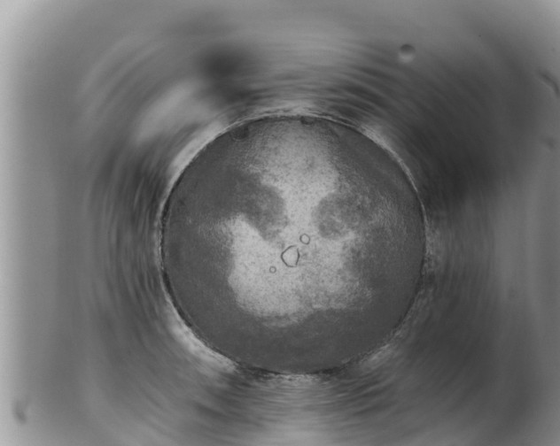 X0000102241090200808011242