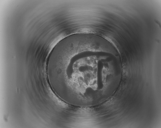 X0000102241091200808011242