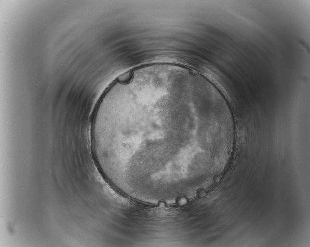 X0000102241092200808011242