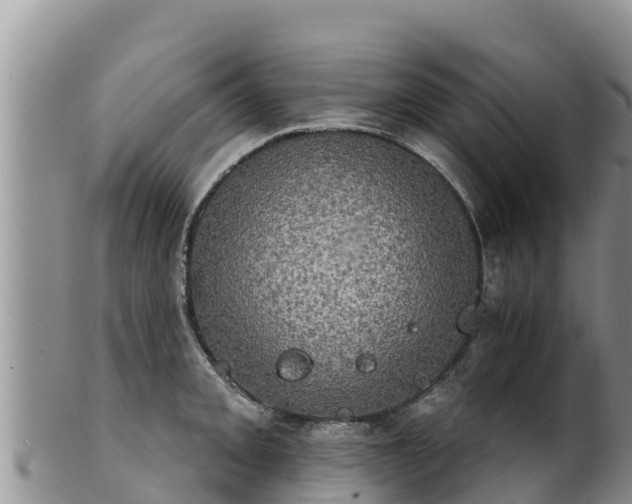 X0000102241093200808011242