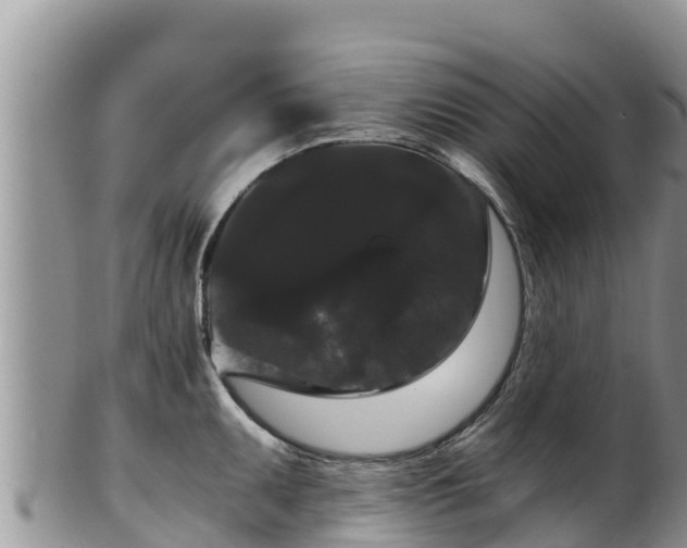 X0000102241095200808011242