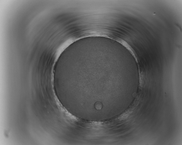 X0000102241096200808011242