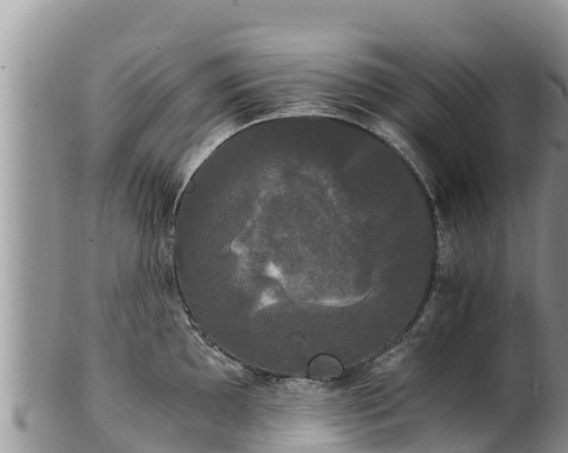 X0000102241097200808011242