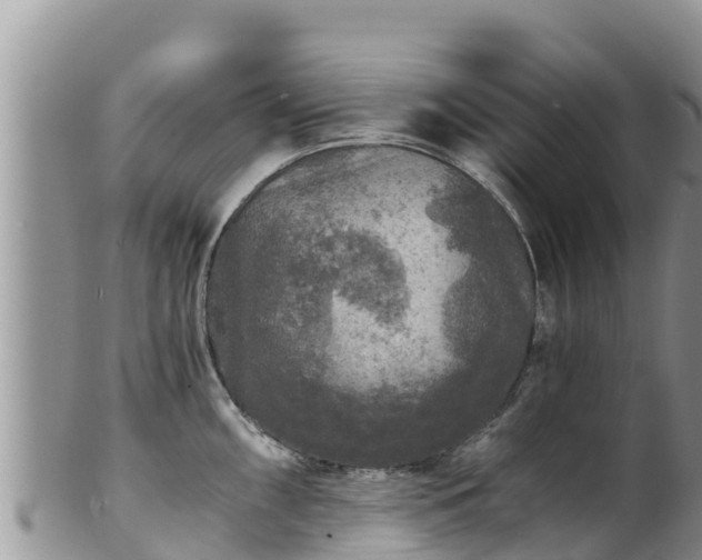 X0000102241098200808011242