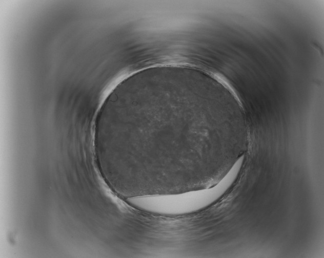 X0000102241099200808011242