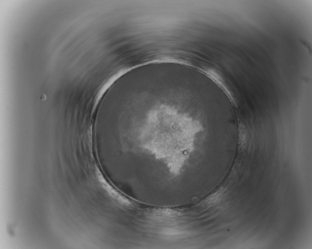 X0000102241100200808011242