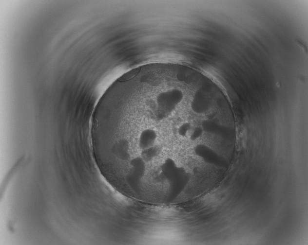 X0000102241103200808011242