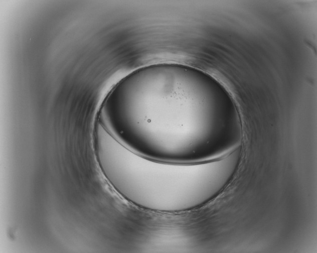 X0000102241104200808011242