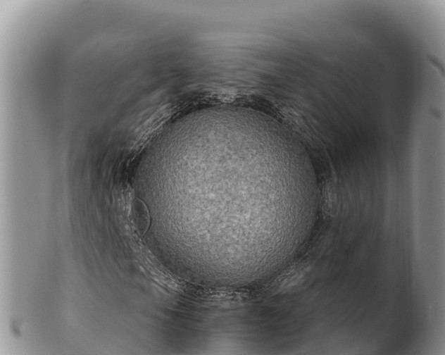 X0000102241105200808011241