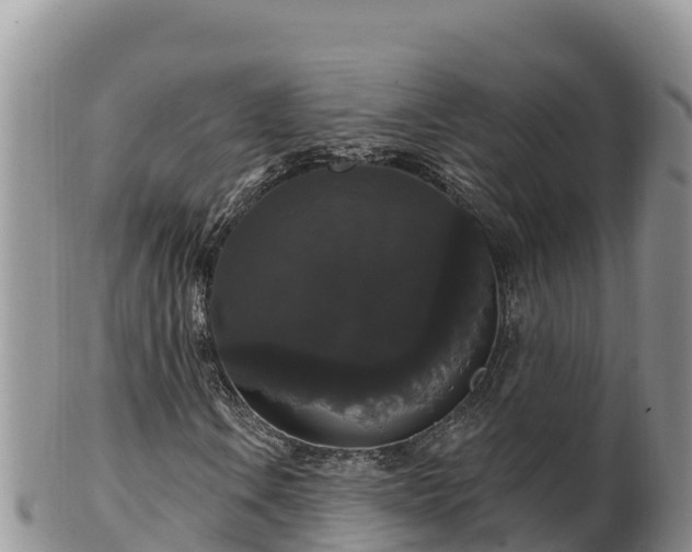 X0000102241106200808011241